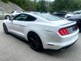 Used 2021 Ford Mustang Coupe w/ Equipment Group 101A image 3