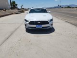 Used 2023 Ford Mustang Premium image 2