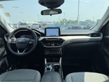Used 2021 Ford Escape SE w/ Convenience Package image 3