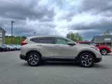 Used 2017 Honda CR-V Touring image 5