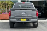 New 2025 Ford F150 STX image 5