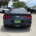 Used 2021 Ford Mustang Coupe w/ Equipment Group 101A image 5