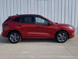 Used 2024 Ford Escape ST-Line image 4