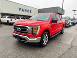 Used 2021 Ford F150 XLT w/ Equipment Group 302A High image 3