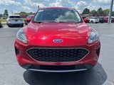 Used 2021 Ford Escape SE image 2