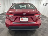 Certified 2024 Toyota Corolla LE image 6