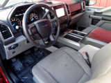 Used 2015 Ford F150 XLT w/ Equipment Group 302A Luxury image 2