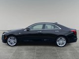New 2025 Cadillac CT4 Premium Luxury image 2