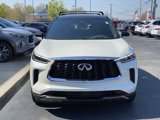 New 2025 INFINITI QX60 Autograph w/ Cargo Package image 2