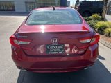Used 2020 Honda Accord EX-L image 6