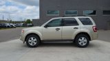 Used 2012 Ford Escape XLT image 2
