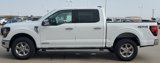New 2024 Ford F150 XLT w/ Equipment Group 302A MID image 5
