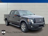 Used 2012 Ford F150 FX4 w/ FX Luxury Pkg image 1