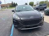 Used 2020 Ford Escape SE image 4