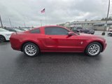 Used 2014 Ford Mustang Premium w/ Equipment Group 202A image 3