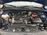 Certified 2022 Ford Escape SE image 3