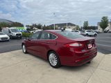 Used 2014 Ford Fusion Energi SE image 5