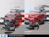View Video