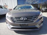 Used 2016 Hyundai Sonata Sport w/ Option Group 03 image 2