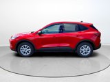 New 2025 Ford Escape Active w/ Cold Weather Package image 5