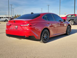 New 2025 Toyota Camry XLE w/ Premium Plus Package image 4
