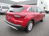 Used 2023 Ford Escape Active w/ Tech Pack #2 image 5