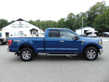 Used 2023 Ford F150 XLT w/ Equipment Group 302A High image 2