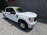 Used 2021 Ford F150 XL w/ Equipment Group 101A High image 4