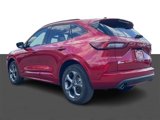 Used 2024 Ford Escape ST-Line image 4