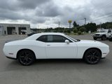 Used 2019 Dodge Challenger SXT w/ Blacktop Package image 2