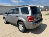Used 2008 Ford Escape XLT image 4