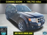Used 2010 Ford Escape Limited image 2