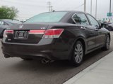 Used 2011 Honda Accord EX-L image 5