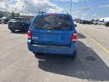 Used 2011 Ford Escape XLT w/ 201A Rapid Spec Order Code image 6