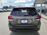 Used 2019 Subaru Forester Premium w/ All-Weather Package image 4