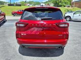 Used 2024 Ford Escape ST-Line image 4