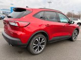 Used 2022 Ford Escape SE w/ SE Sport Appearance Package image 5