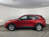 Used 2022 Ford Escape SE w/ Convenience Package image 3
