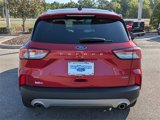 Used 2020 Ford Escape SE Sport image 5