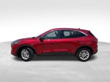 Used 2022 Ford Escape SE image 3