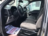 Certified 2020 Ford F150 XLT w/ Equipment Group 301A Mid image 6