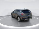 Used 2021 Ford Escape SE image 6