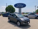 Used 2015 Ford Escape Titanium image 1