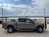 Used 2021 Ford F150 XLT w/ Equipment Group 302A High image 2