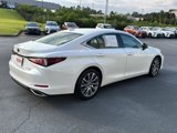 Certified 2020 Lexus ES 350 w/ Premium Package image 5