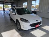 Certified 2022 Ford Escape SEL image 2