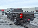 Used 2019 Toyota Tundra Platinum image 5