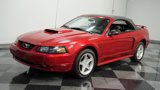 Used 2002 Ford Mustang GT image 5