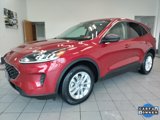 Used 2022 Ford Escape SE w/ Convenience Package image 4