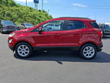 Used 2019 Ford EcoSport SE image 4